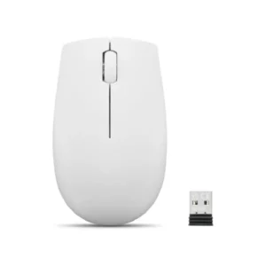 Lenovo 300 Wireless Compact Mouse (Cloud Grey)