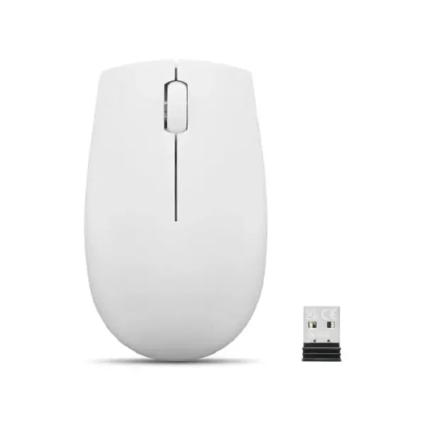 Lenovo 300 Wireless Compact Mouse (Cloud Grey)