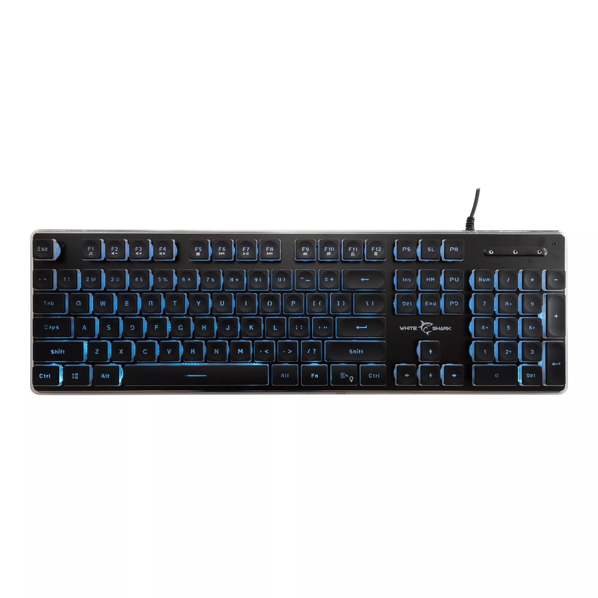 Clavier White Shark Tachi Black Membrane US