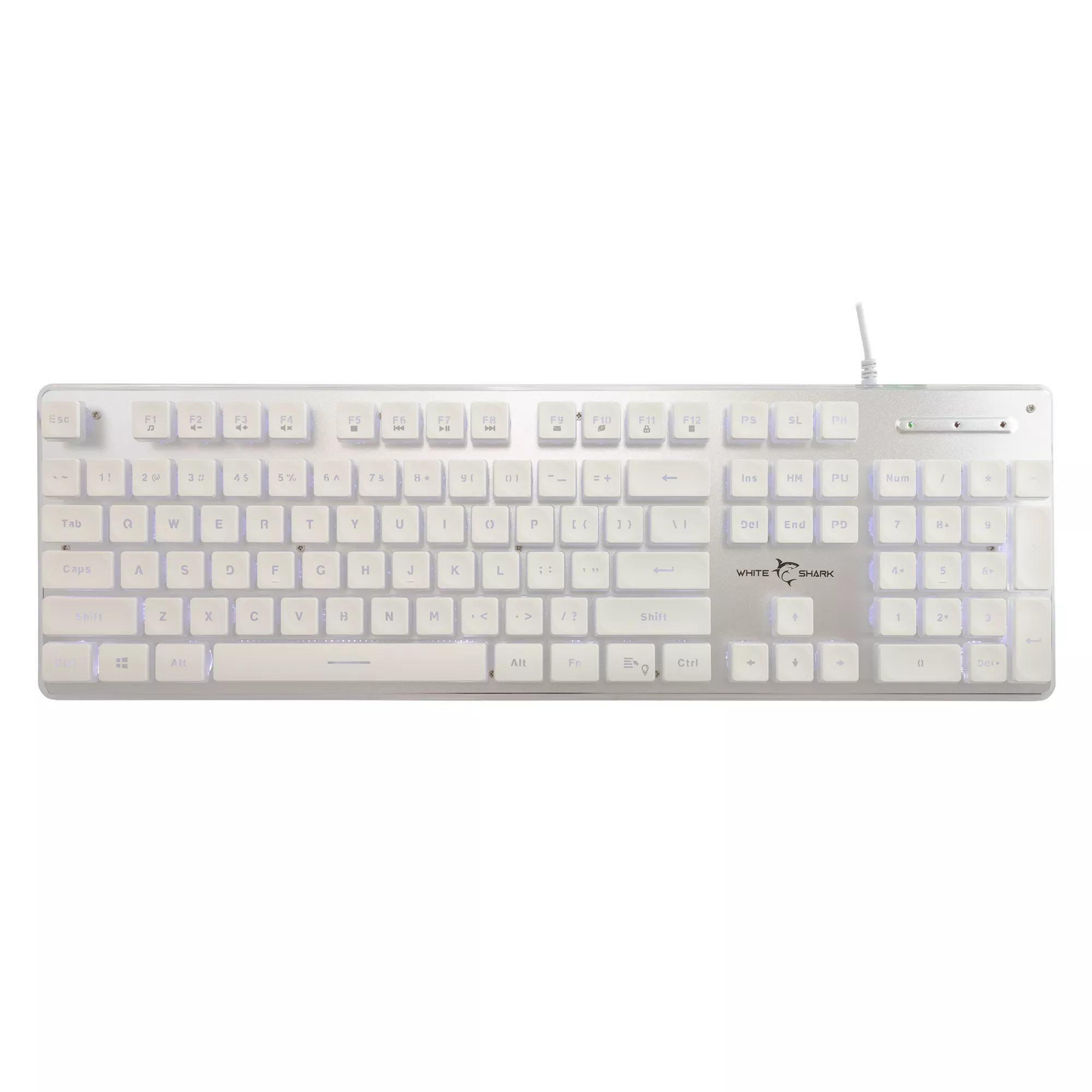 Clavier White Shark Tachi White Membrane US
