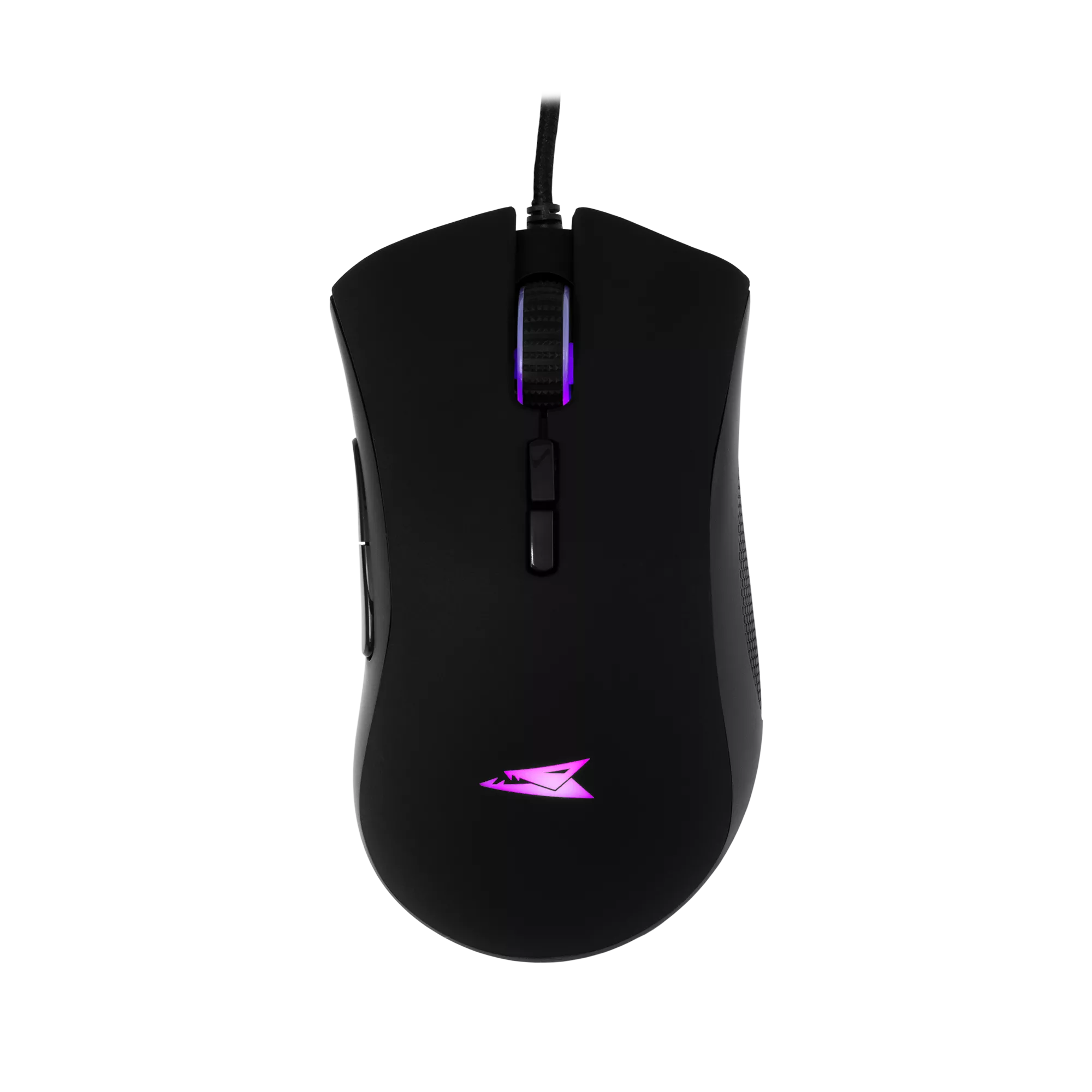 Baracuda Lobster Black